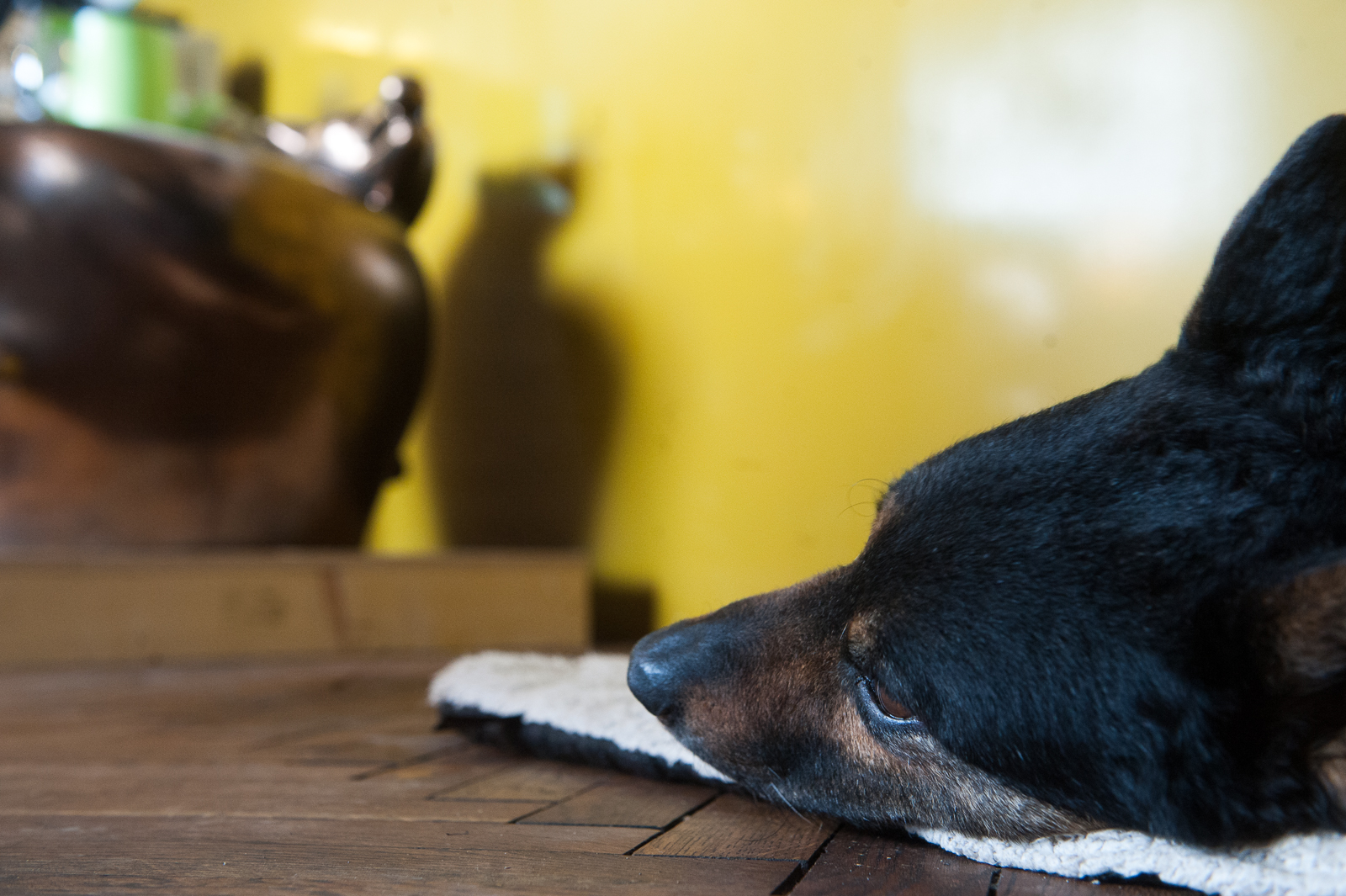 Szabó Edit kerámia művész műtermében jártunk Szabó Edit kerámia művész műtermében jártunk