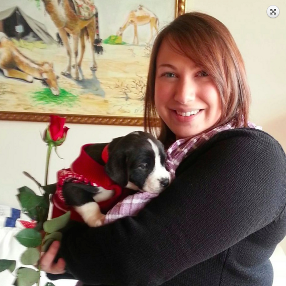 Mentett kiskutyák kézbesítették a Valentin-napi ajándékokat - cuki fotók