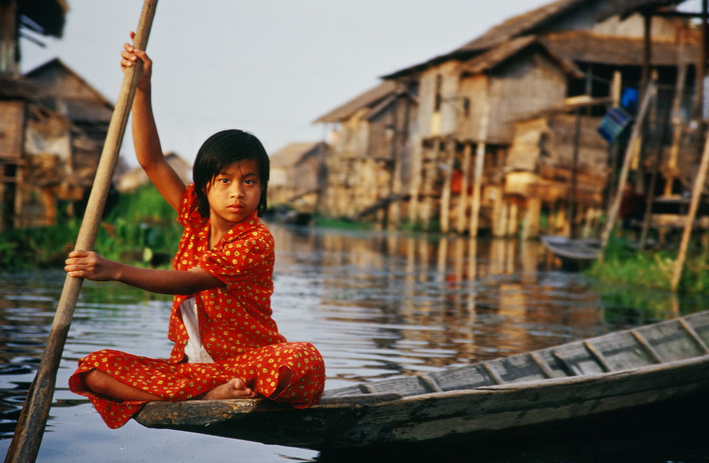 Steiger Ákos fotók Steiger Ákos fotók
