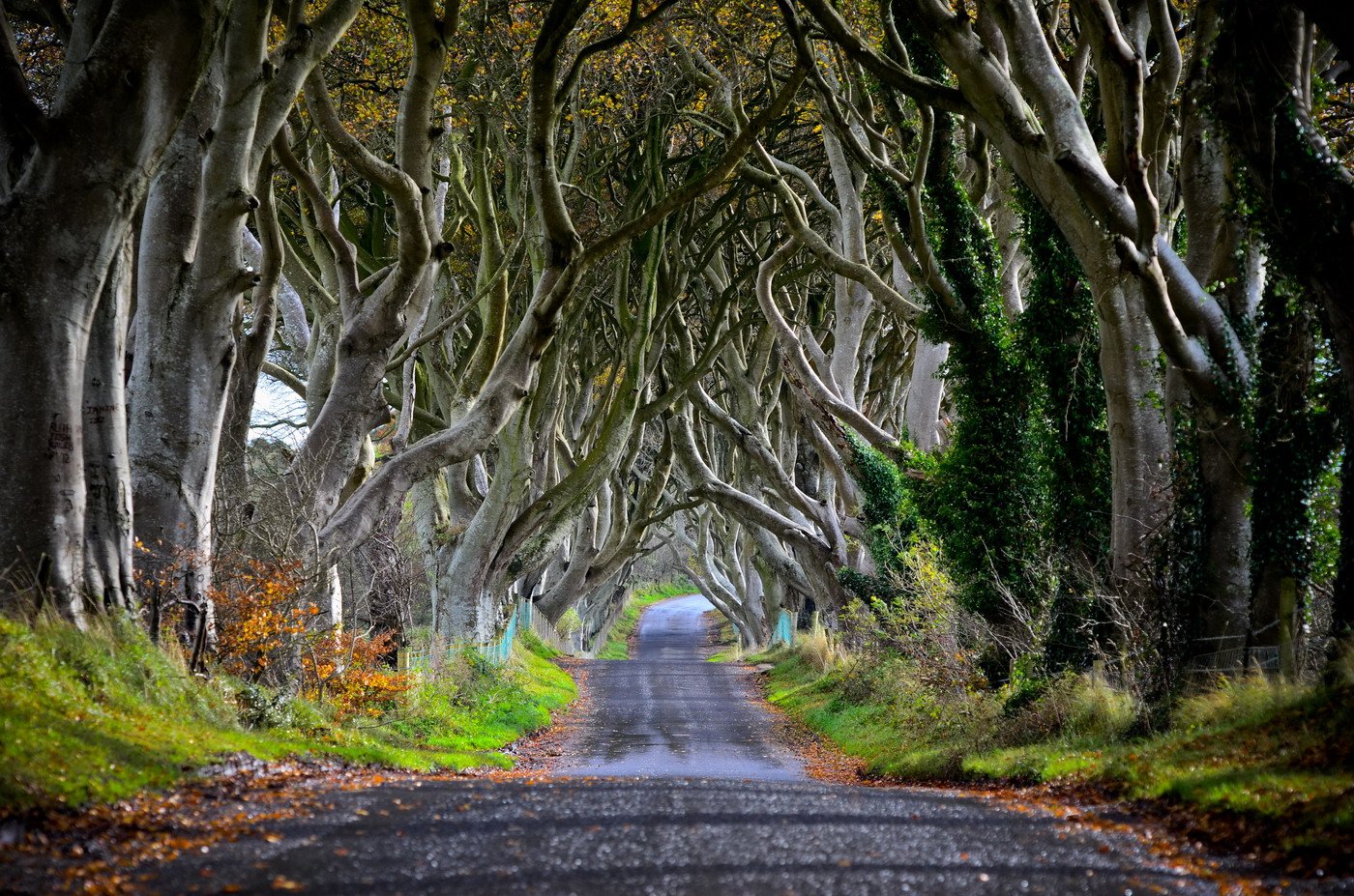 Steiger Ákos fotók Steiger Ákos fotók