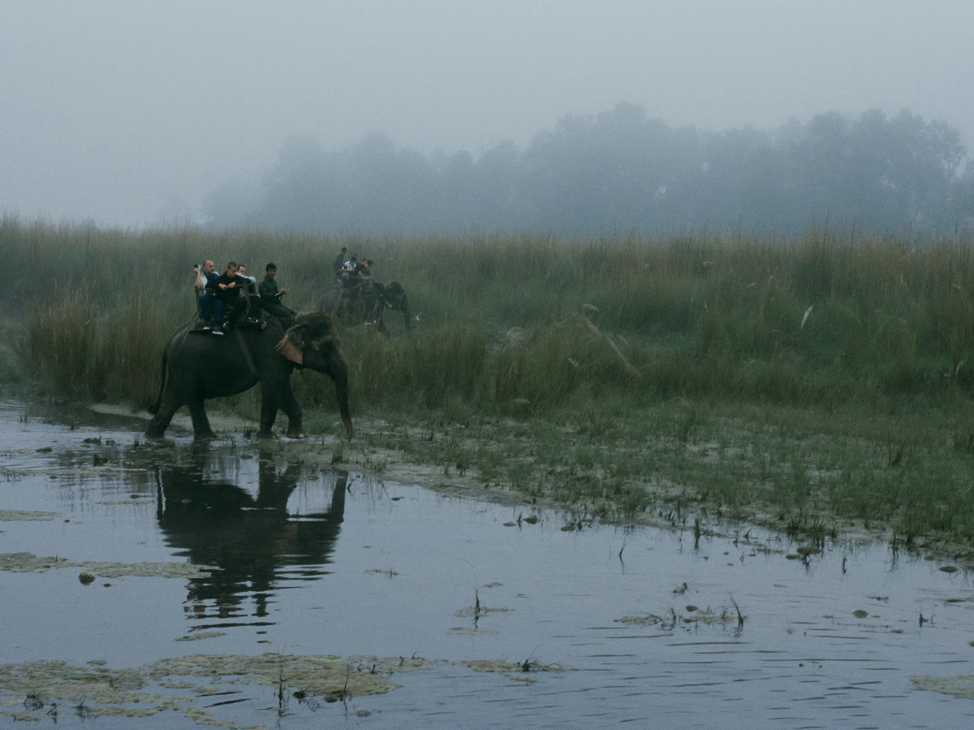 Steiger Ákos fotók Steiger Ákos fotók