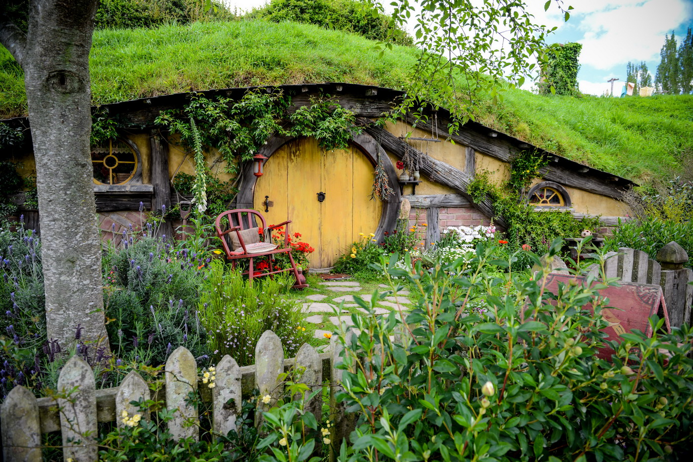 Steiger Ákos fotók Steiger Ákos fotók