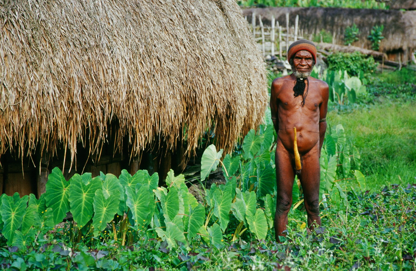 Steiger Ákos fotók Steiger Ákos fotók