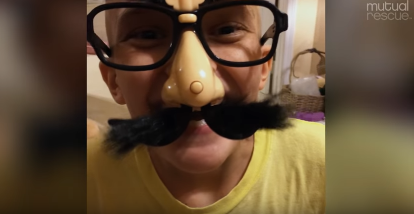 Egy kiscicát kért, és ezzel megmentette családját a rákban haldokló kislány