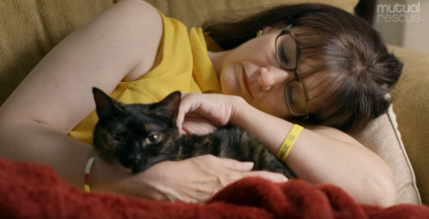 Egy kiscicát kért, és ezzel megmentette családját a rákban haldokló kislány