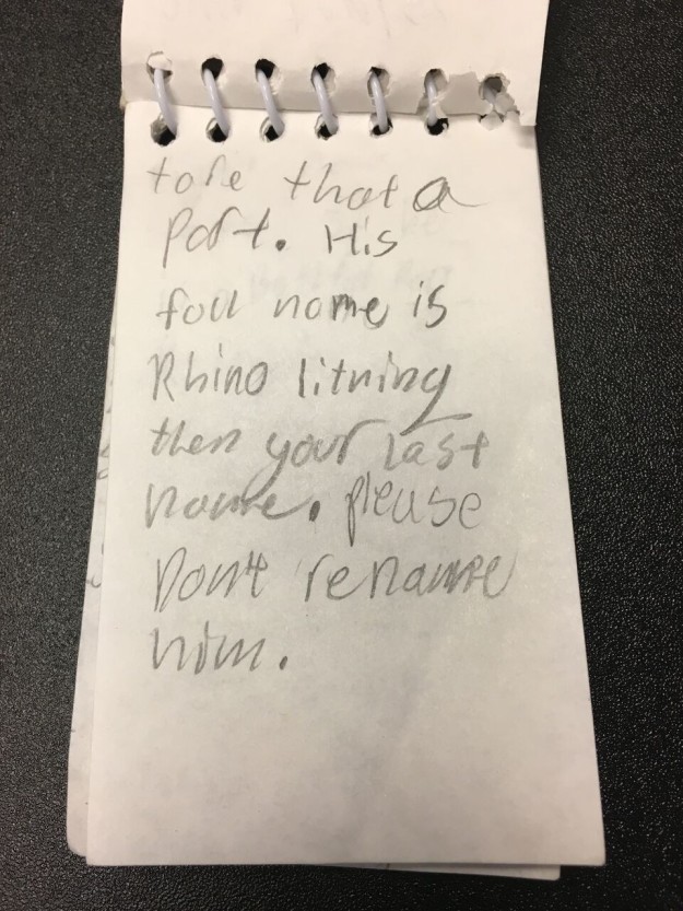 Szívfacsaró levél kíséretében adták menhelyre a kutyájukat