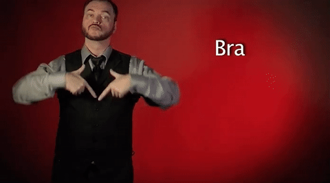 A macskás gifek birodalma most jelbeszédre tanít