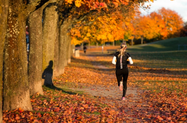 LIDL Futás 2017 - felső témaszponzi 4. cikk