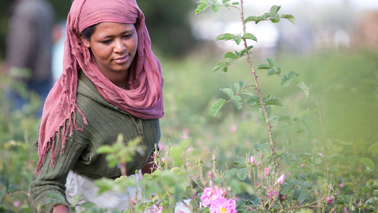 Kozmetika Kultúra vagy marketing?