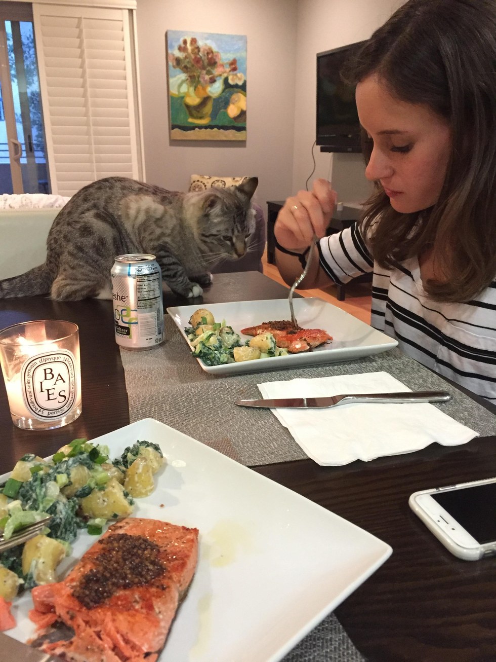 Minden étkezést árgus szemmel figyel a gourmet macska Minden étkezést árgus szemmel figyel a gourmet macska