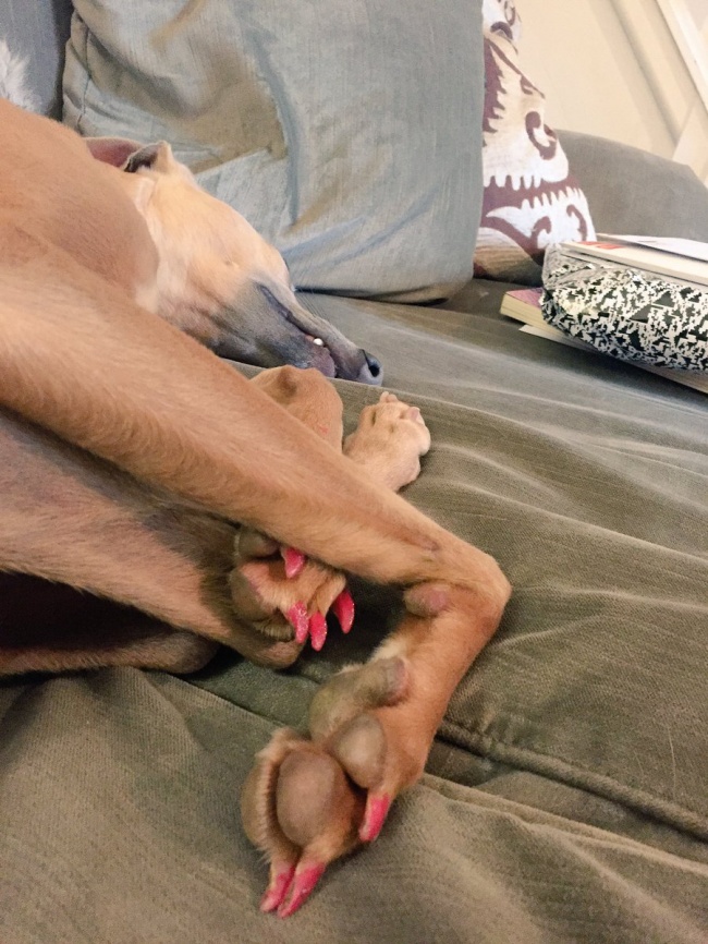 10 fotó, ami bebizonyítja, hogy a gyerekek mellett lehetetlen unatkozni