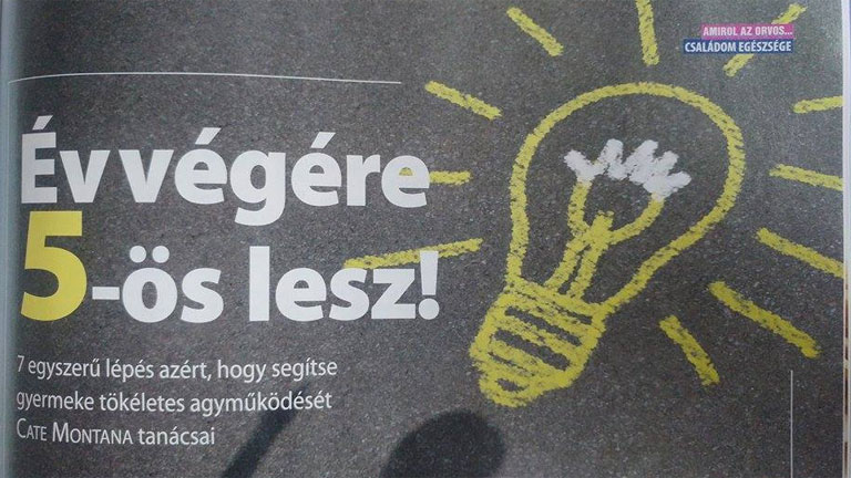 A lap legnagyobb része fordítás