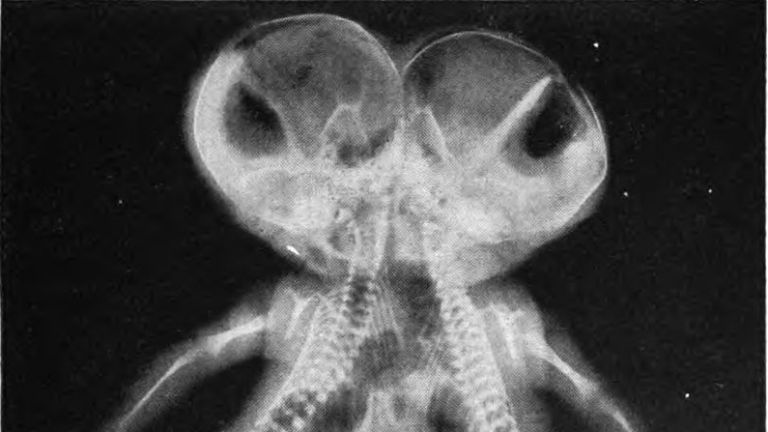 Képünk illusztráció