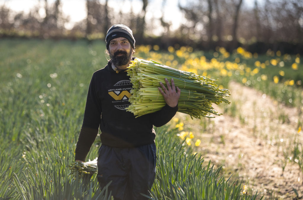 Ha szeretsz elbújni a világ elől, ezt a szigetet imádni fogod Ha szeretsz elbújni a világ elől, ezt a szigetet imádni fogod