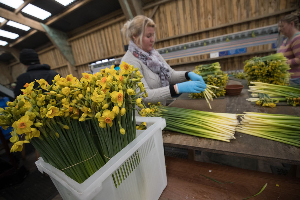 Ha szeretsz elbújni a világ elől, ezt a szigetet imádni fogod Ha szeretsz elbújni a világ elől, ezt a szigetet imádni fogod