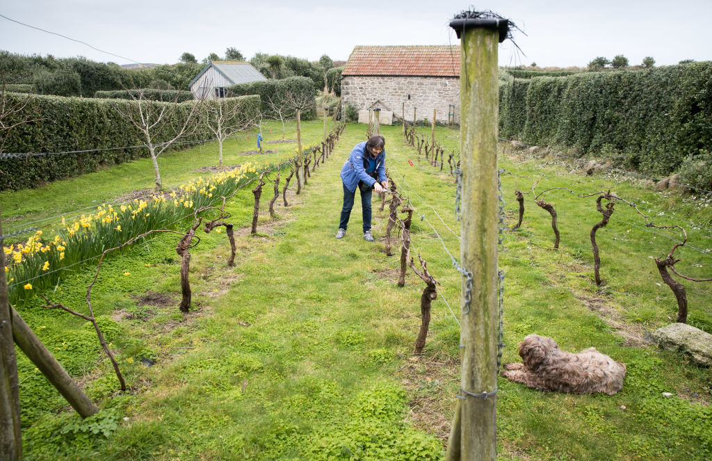 Ha szeretsz elbújni a világ elől, ezt a szigetet imádni fogod Ha szeretsz elbújni a világ elől, ezt a szigetet imádni fogod