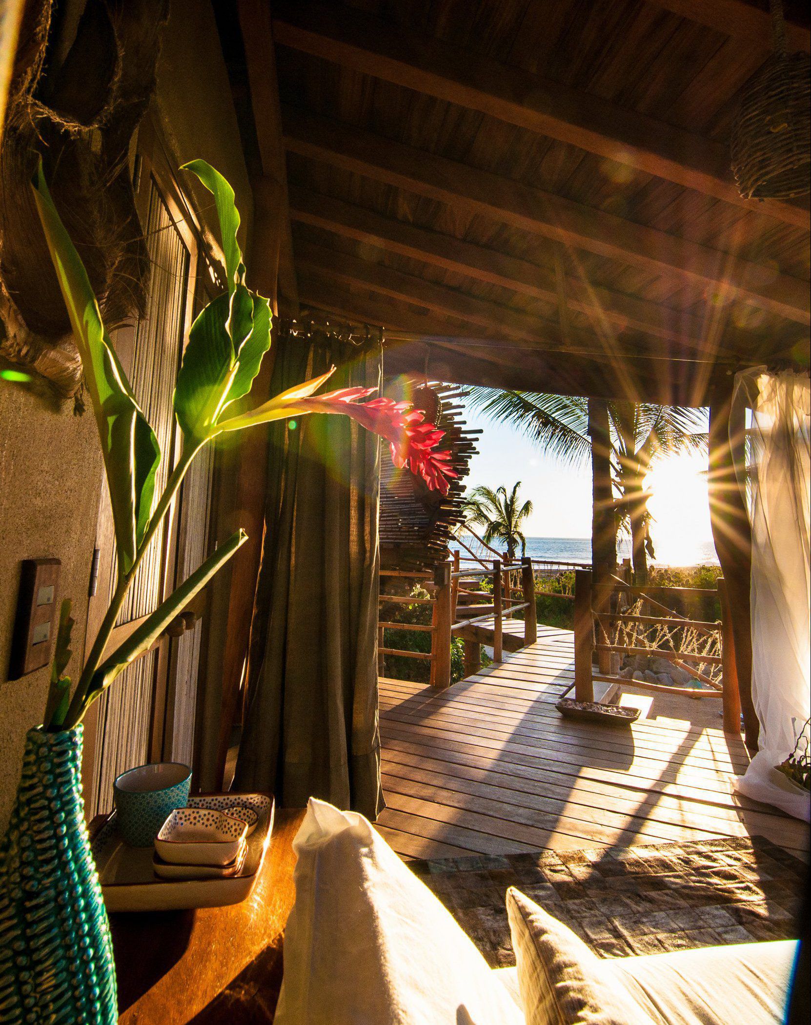 Azonnal beköltöznénk ebbe a környezetbarát mexikói faházba Azonnal beköltöznénk ebbe a környezetbarát mexikói faházba