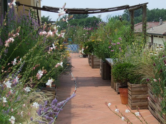 Nézegess fotókat elképesztő városi tetőkertekről! Nézegess fotókat elképesztő városi tetőkertekről!