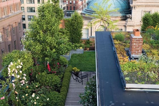 Nézegess fotókat elképesztő városi tetőkertekről! Nézegess fotókat elképesztő városi tetőkertekről!