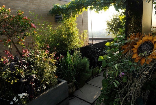 Nézegess fotókat elképesztő városi tetőkertekről! Nézegess fotókat elképesztő városi tetőkertekről!