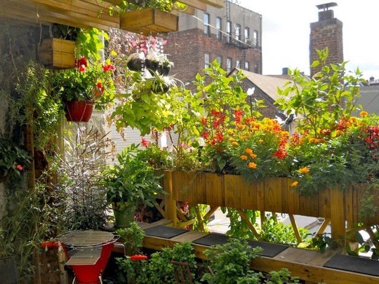 Nézegess fotókat elképesztő városi tetőkertekről! Nézegess fotókat elképesztő városi tetőkertekről!