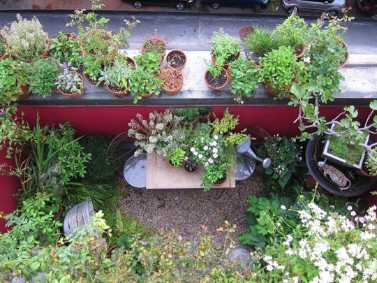 Nézegess fotókat elképesztő városi tetőkertekről! Nézegess fotókat elképesztő városi tetőkertekről!