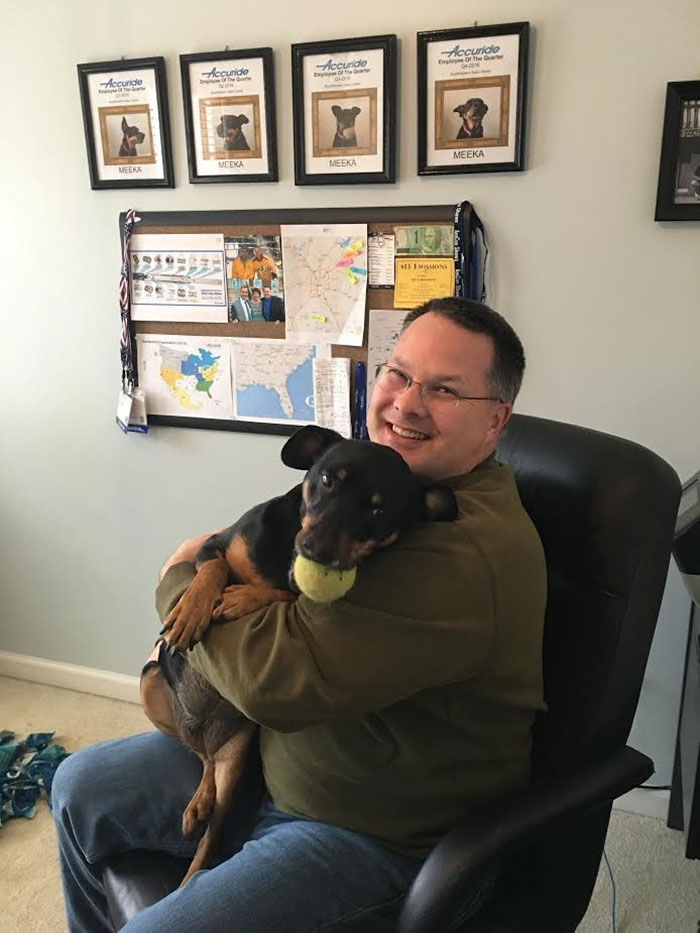 Ezen a munkahelyen mindig a kutya a hónap dolgozója