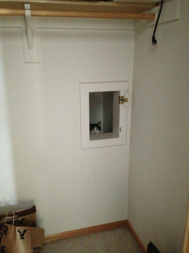 12 kép, ami bebizonyítja, hogy a macskák valójában titkos ügynökök 12 kép, ami bebizonyítja, hogy a macskák valójában titkos ügynökök