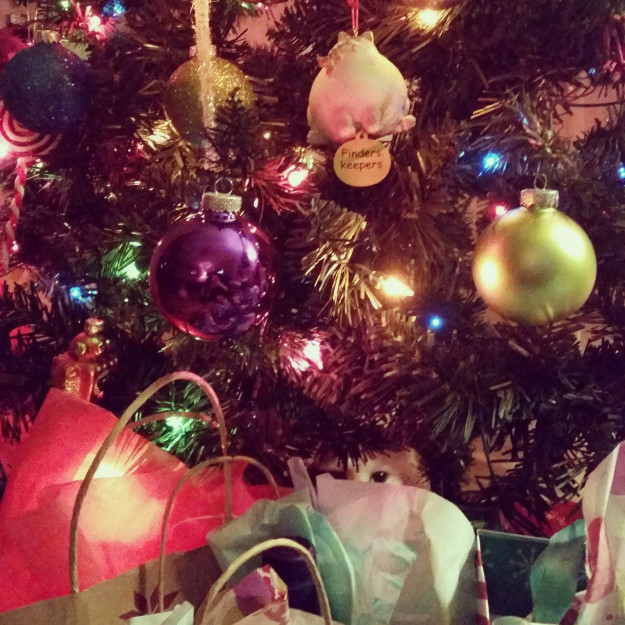 12 kép, ami bebizonyítja, hogy a macskák valójában titkos ügynökök 12 kép, ami bebizonyítja, hogy a macskák valójában titkos ügynökök