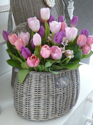 Fonott kosárkában is remekül mutat a színes tulipán. Minimalista, vintage stílusú lakásban is tökéletesen megállja a helyét! Fonott kosárkában is remekül mutat a színes tulipán. Minimalista, vintage stílusú lakásban is tökéletesen megállja a helyét!