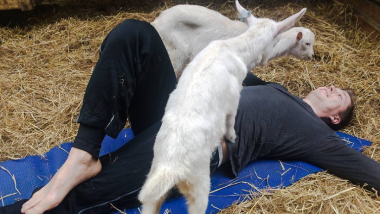 Végre Európát is elérte a kecskés jóga!