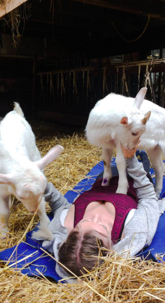 Végre Európát is elérte a kecskés jóga!