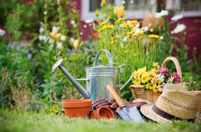 Amit az ágyáskészítésről tudni kell – Hozd ki a legtöbbet a kiskertedből!