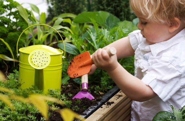 Amit az ágyáskészítésről tudni kell – Hozd ki a legtöbbet a kiskertedből!