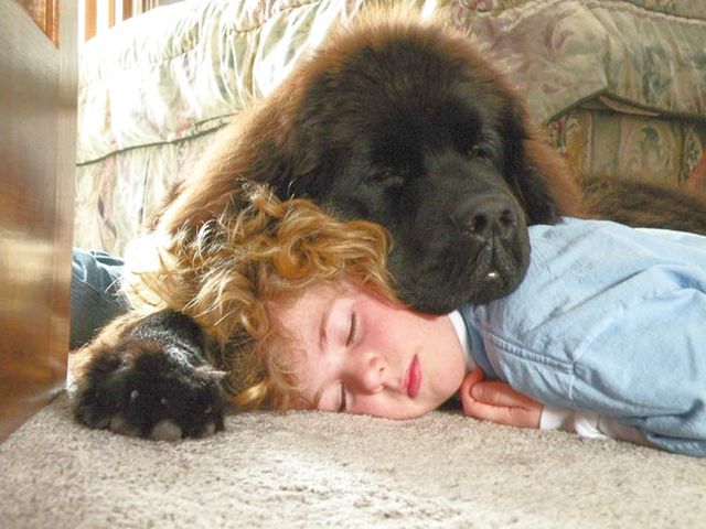 Ezek a képek bizonyítják, hogy a babák és az állatok a legjobb alvótársak Ezek a képek bizonyítják, hogy a babák és az állatok a legjobb alvótársak