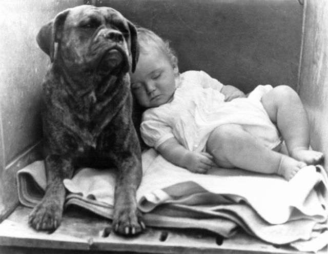 Ezek a képek bizonyítják, hogy a babák és az állatok a legjobb alvótársak Ezek a képek bizonyítják, hogy a babák és az állatok a legjobb alvótársak