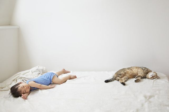 Ezek a képek bizonyítják, hogy a babák és az állatok a legjobb alvótársak Ezek a képek bizonyítják, hogy a babák és az állatok a legjobb alvótársak