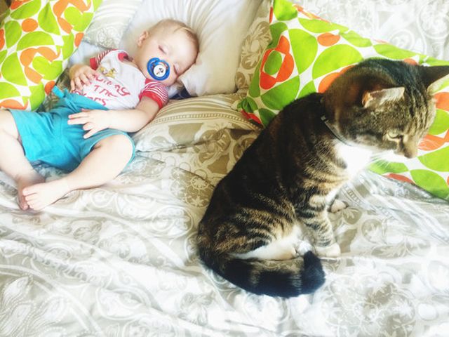 Ezek a képek bizonyítják, hogy a babák és az állatok a legjobb alvótársak Ezek a képek bizonyítják, hogy a babák és az állatok a legjobb alvótársak