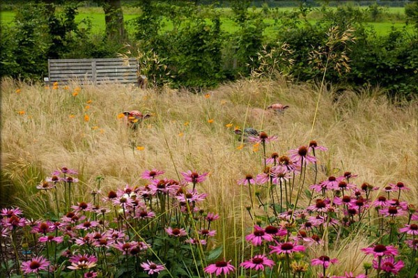 Vissza a természethez: legyen saját réted!