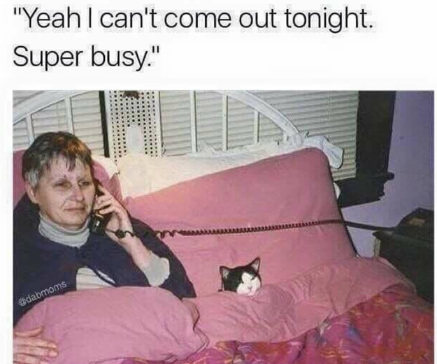 8 dolog, amit csak akkor érthetsz, ha a macskád a legjobb barátod