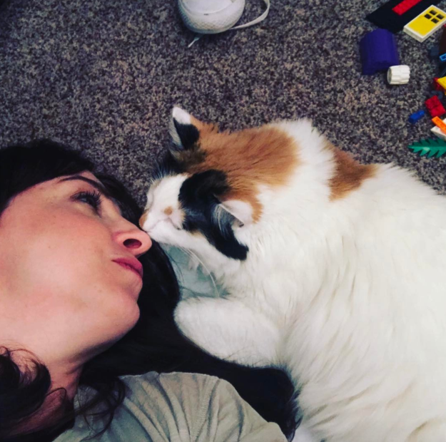 8 dolog, amit csak akkor érthetsz, ha a macskád a legjobb barátod