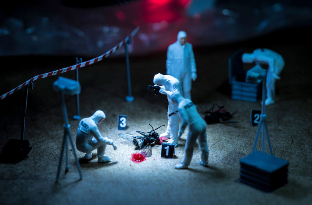 Három magyar kép is bekerült a Sony World Photography Awards legjobbjai közé Három magyar kép is bekerült a Sony World Photography Awards legjobbjai közé