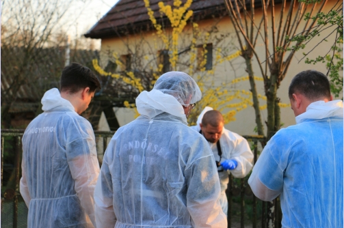 Megölte saját anyját egy férfi Somogyban