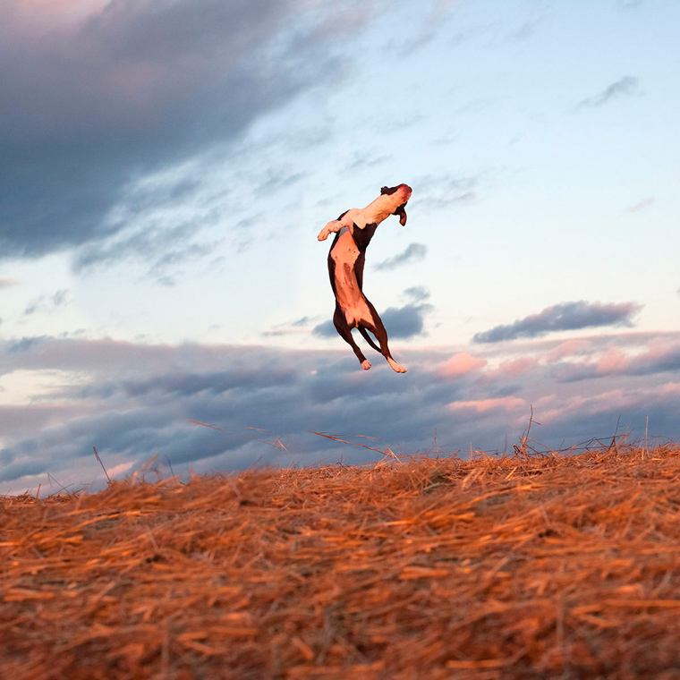 Fotó: Mary Shannon Johnstone/Feature Shoot Emerging Photography Awards