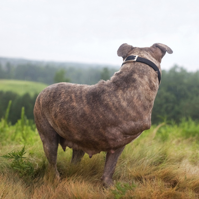 Fotó: Mary Shannon Johnstone/Feature Shoot Emerging Photography Awards