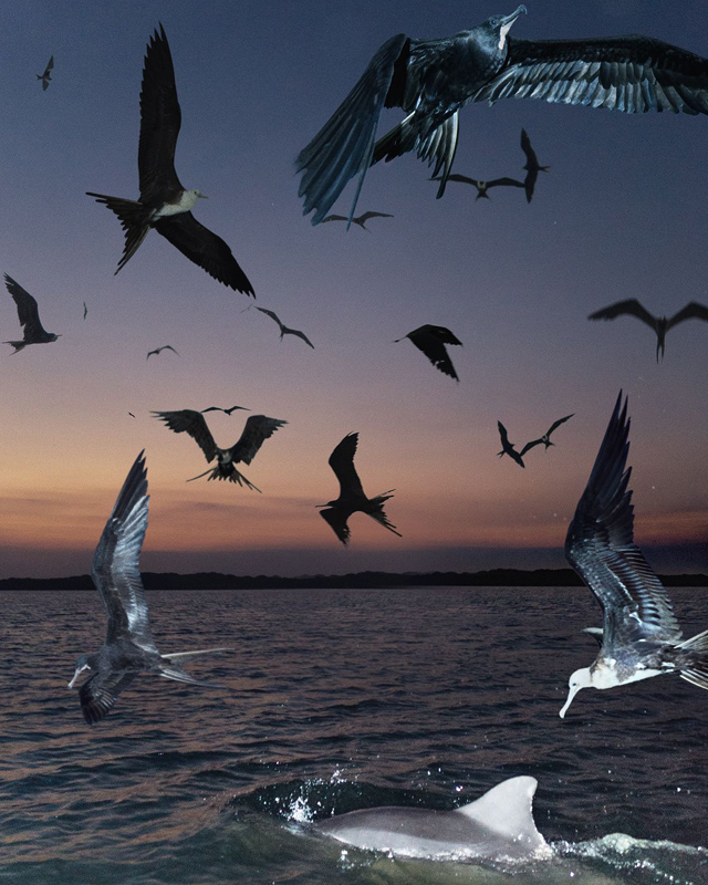 Fotó: Benoit Paille/Feature Shoot Emerging Photography Awards