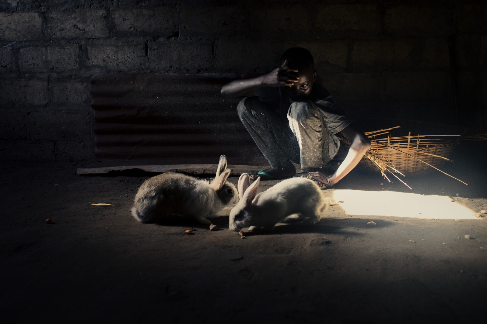 Fotó: Diana Bagnoli/Feature Shoot Emerging Photography Awards