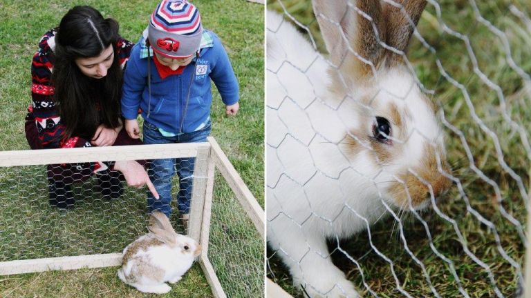 Idén tavasszal is megnyitja kapuit a Vasúttörténeti Park! Idén tavasszal is megnyitja kapuit a Vasúttörténeti Park!