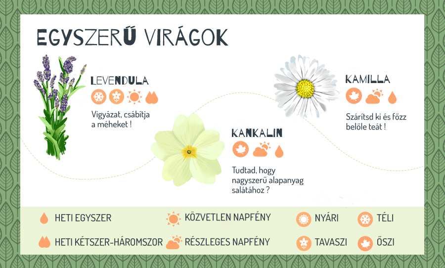 Így lesz garantáltan csodaszép az erkélyed