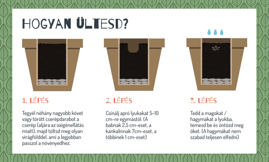 Így lesz garantáltan csodaszép az erkélyed